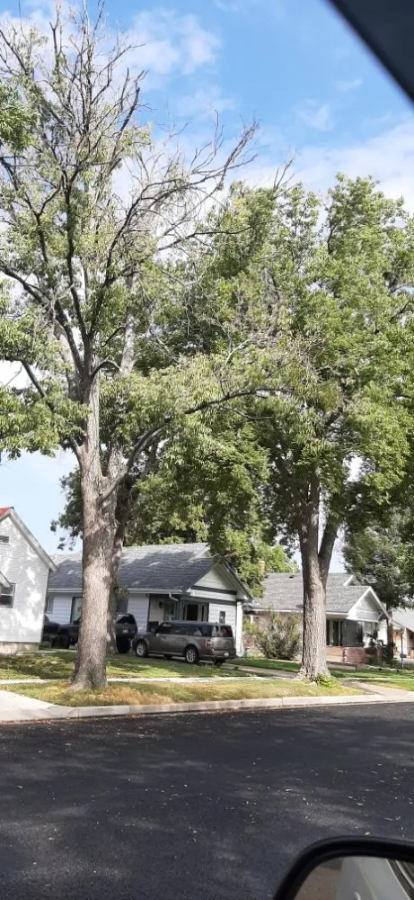 Affordable garden landscaping near you in Fort Morgan, CO by A Savavge Tree Service & Landscaping