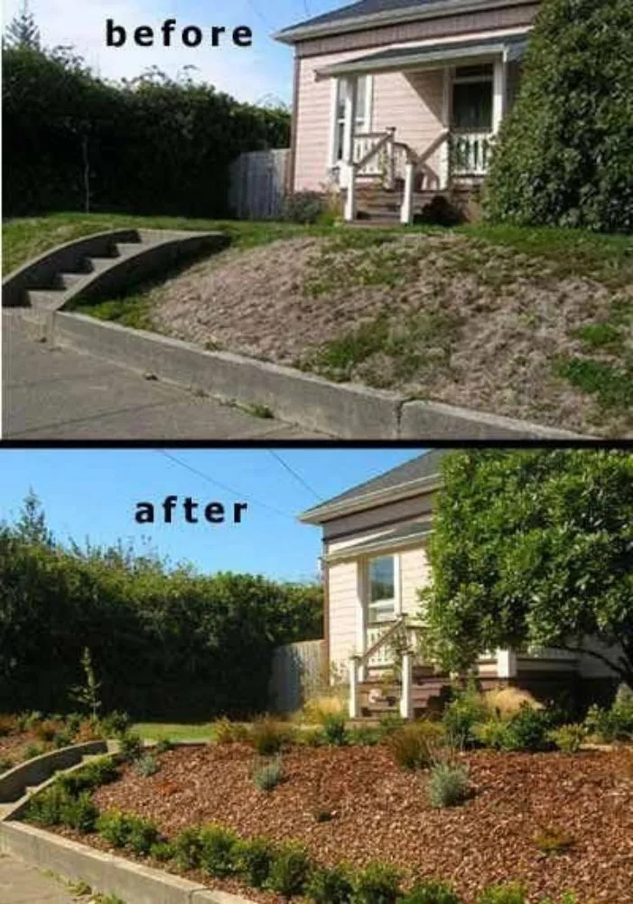 Trusted lawn mowing service in Fort Morgan, CO - A Savavge Tree Service & Landscaping