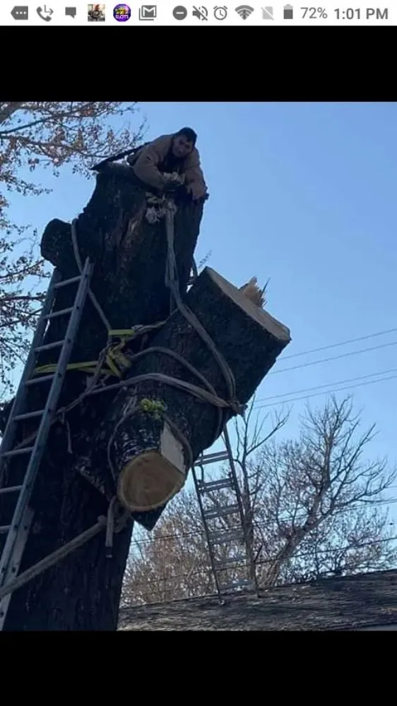 Local garden landscaping in Fort Morgan, CO by A Savavge Tree Service & Landscaping