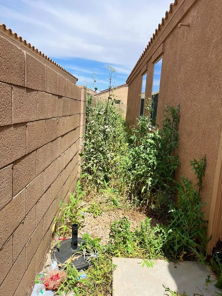 Affordable yard maintenance in San Tan Valley, AZ by A Servants Heart Landscaping