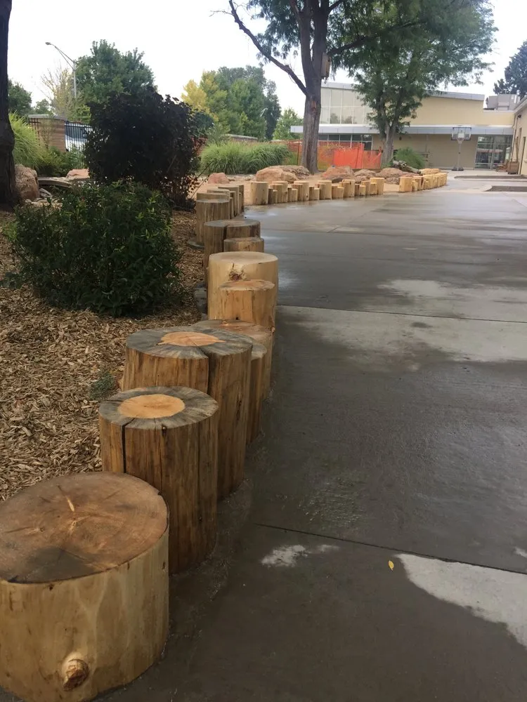 Local yard cleanup service for outdoor upgrades across Denver, CO - A Sharper Image Landscaping