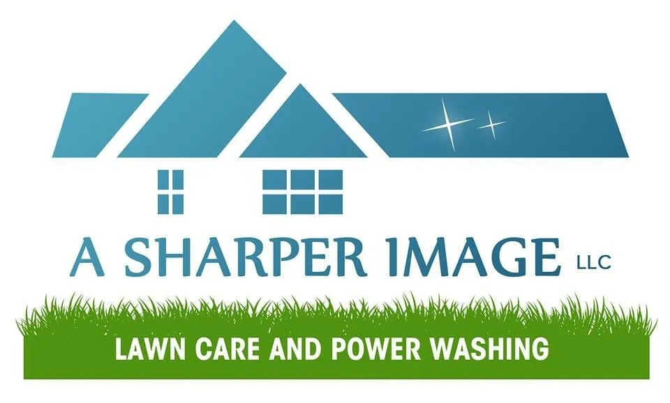 Professional yard cleanup service in Mobile, AL by A Sharper Image