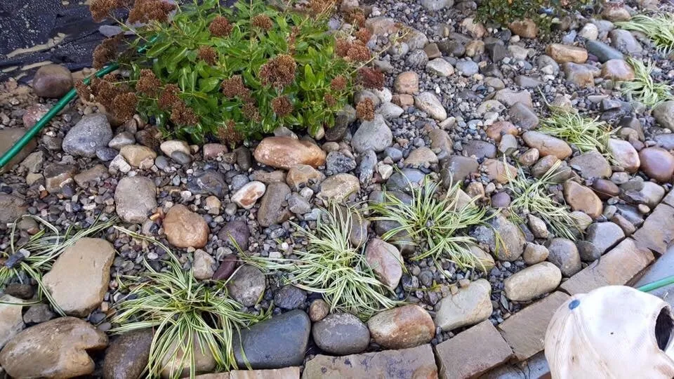 Custom landscaping services for homes in Summerfield, NC by A Sharper Image