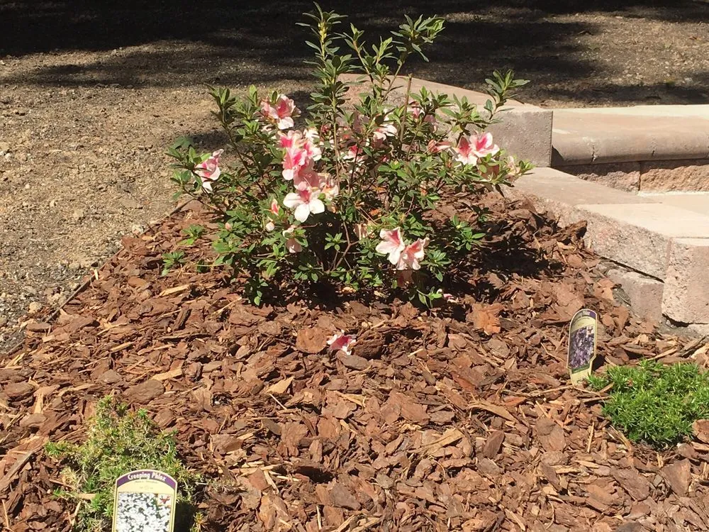 Trusted landscape design experts serving Summerfield, NC - A Sharper Image