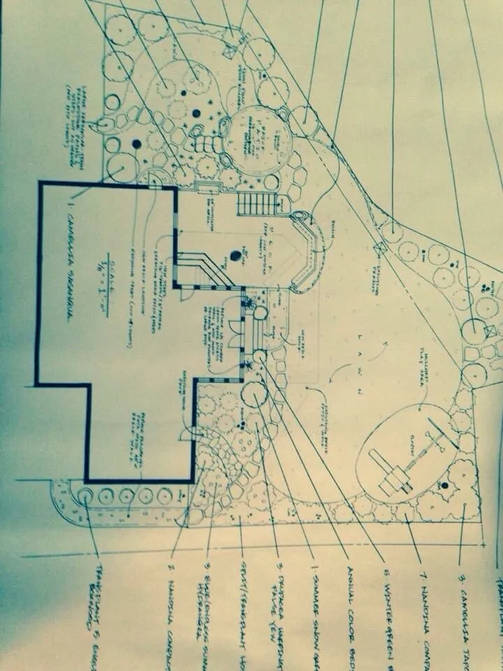 Professional lawn mowing service with custom design across Summerfield, NC - A Sharper Image