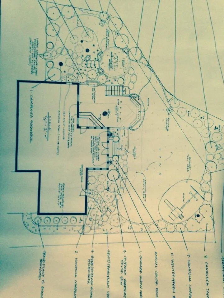 Affordable yard cleanup service in Summerfield, NC - A Sharper Image