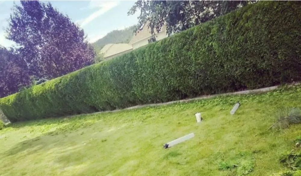 Local yard cleanup service for outdoor upgrades across Spokane, WA - A Shrub Above