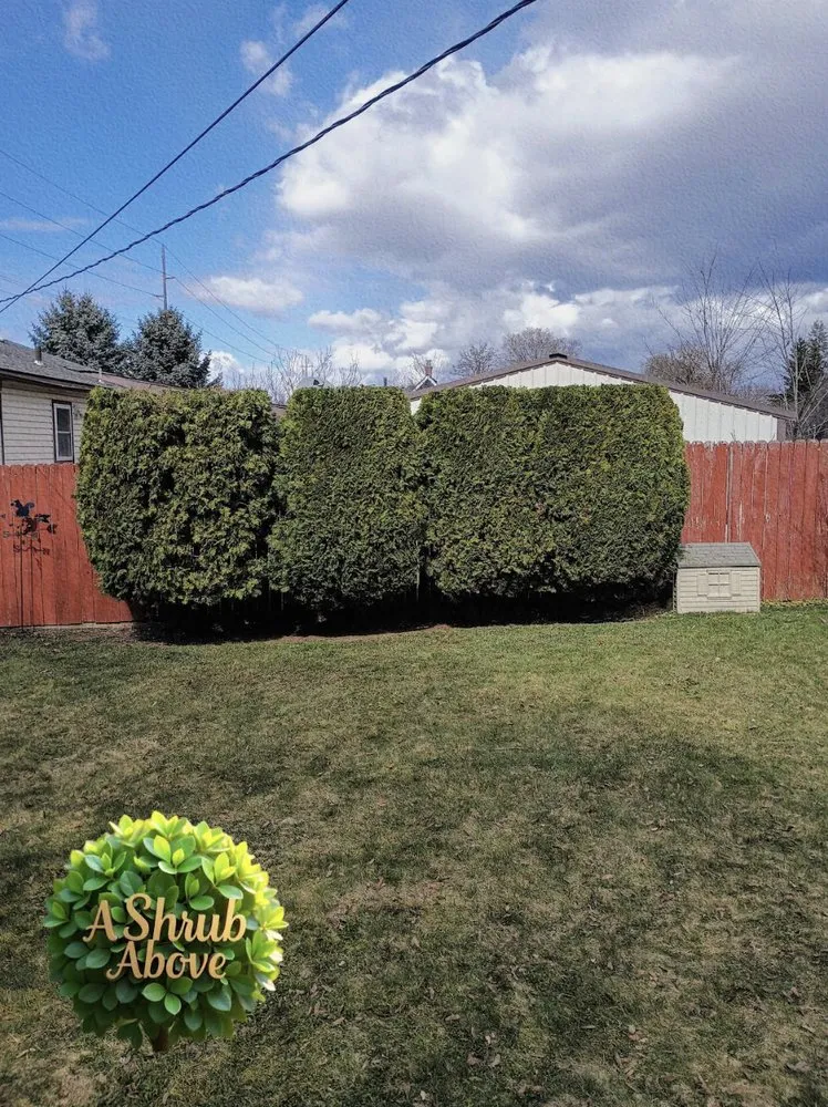 Reliable residential landscaping for residential properties in Spokane, WA by A Shrub Above