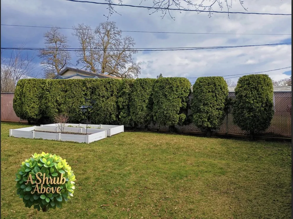 Expert landscaping services experts serving Spokane, WA - A Shrub Above