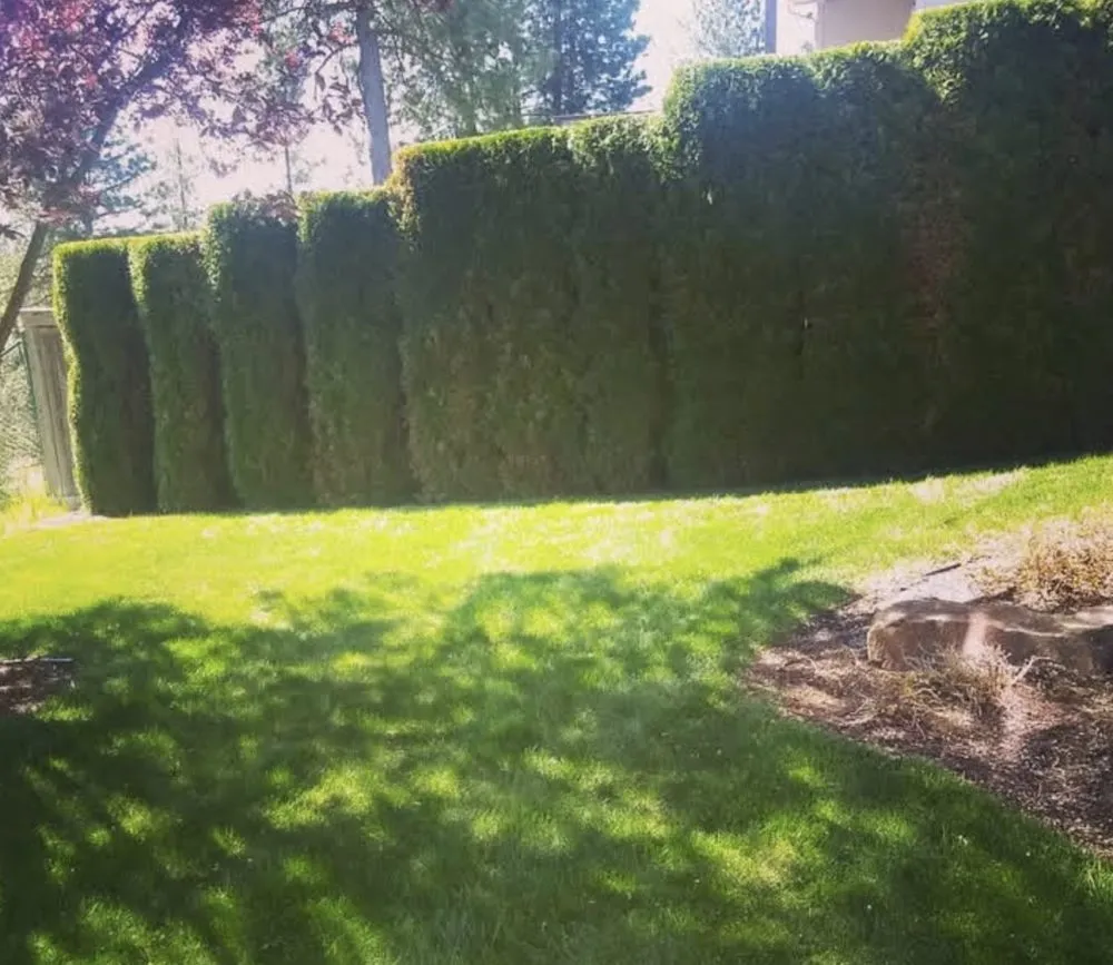 Affordable landscape design for outdoor upgrades across Spokane, WA - A Shrub Above