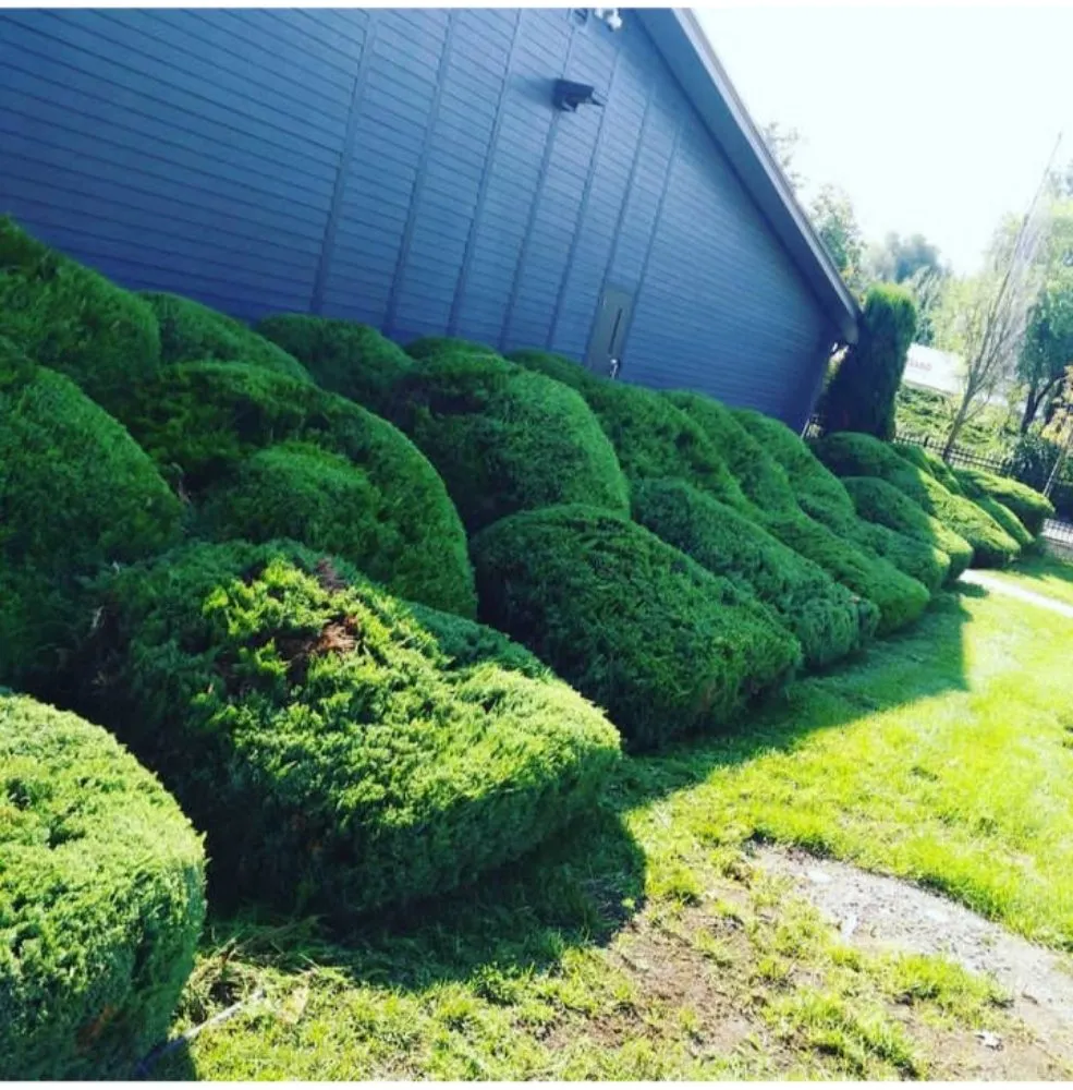 Custom landscape installation for beautiful yards across Spokane, WA - A Shrub Above