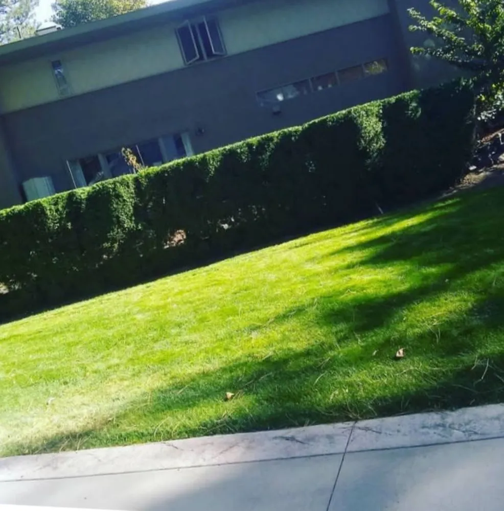 Trusted residential landscaping with custom design in Spokane, WA by A Shrub Above