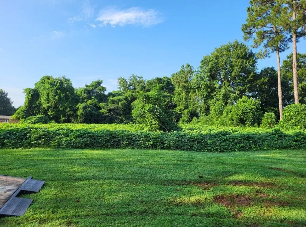 Affordable outdoor landscaping in Perry, GA by A Simple Lawn Service