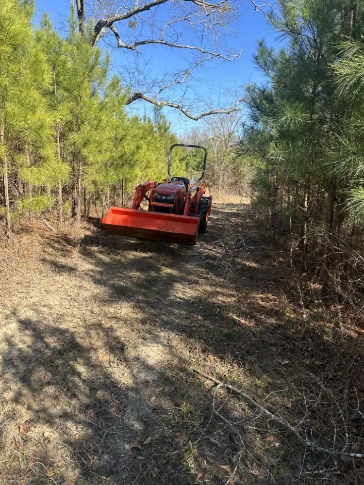 Reliable garden landscaping for year-round maintenance across Perry, GA - A Simple Lawn Service