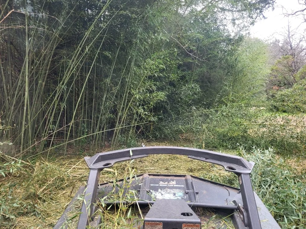Affordable yard cleanup service for homes across Perry, GA - A Simple Lawn Service