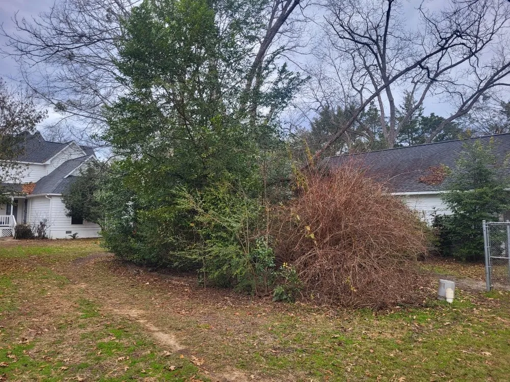 Affordable yard cleanup service for outdoor upgrades across Perry, GA - A Simple Lawn Service