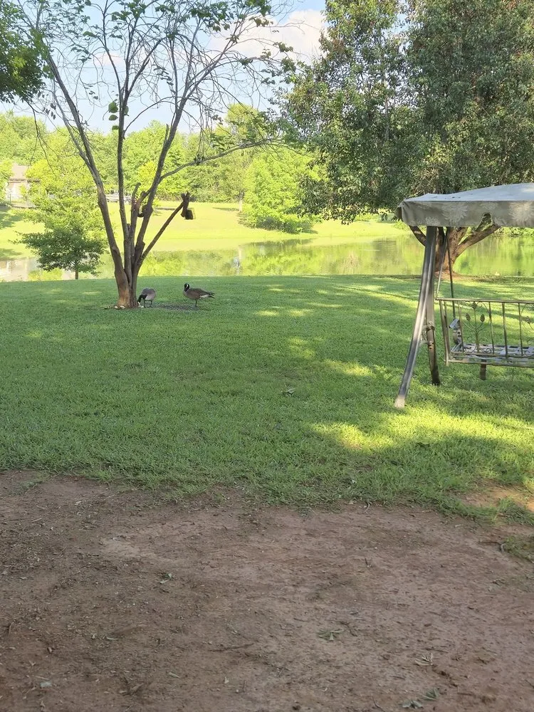 Custom garden landscaping experts serving Perry, GA - A Simple Lawn Service