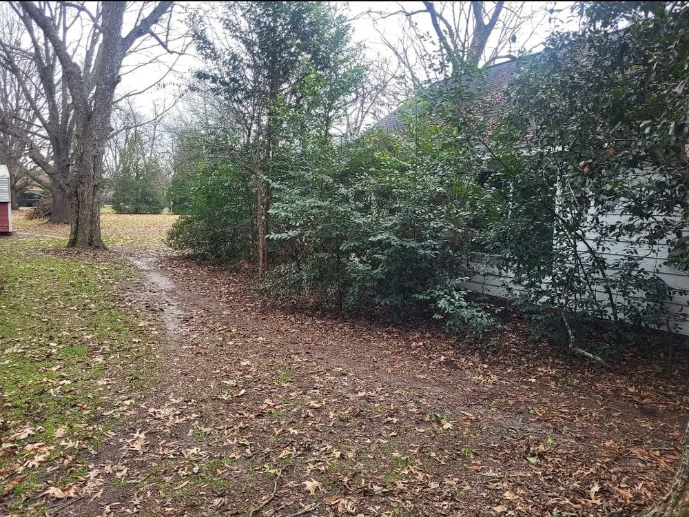 Reliable lawn care service in Perry, GA - A Simple Lawn Service