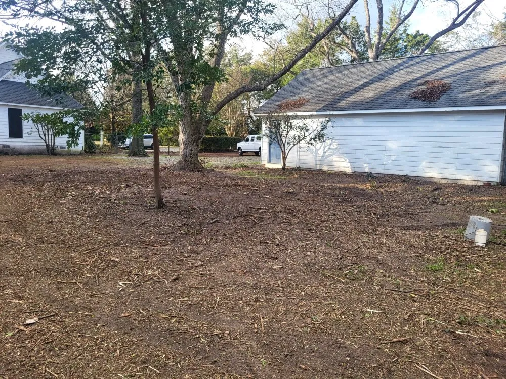 Affordable landscaping services for year-round maintenance across Perry, GA - A Simple Lawn Service