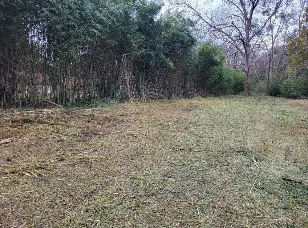 Affordable lawn care service experts serving Perry, GA - A Simple Lawn Service
