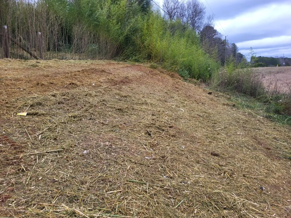 Custom lawn mowing service in Perry, GA - A Simple Lawn Service
