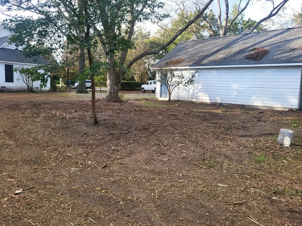 Affordable yard cleanup service in Perry, GA - A Simple Lawn Service