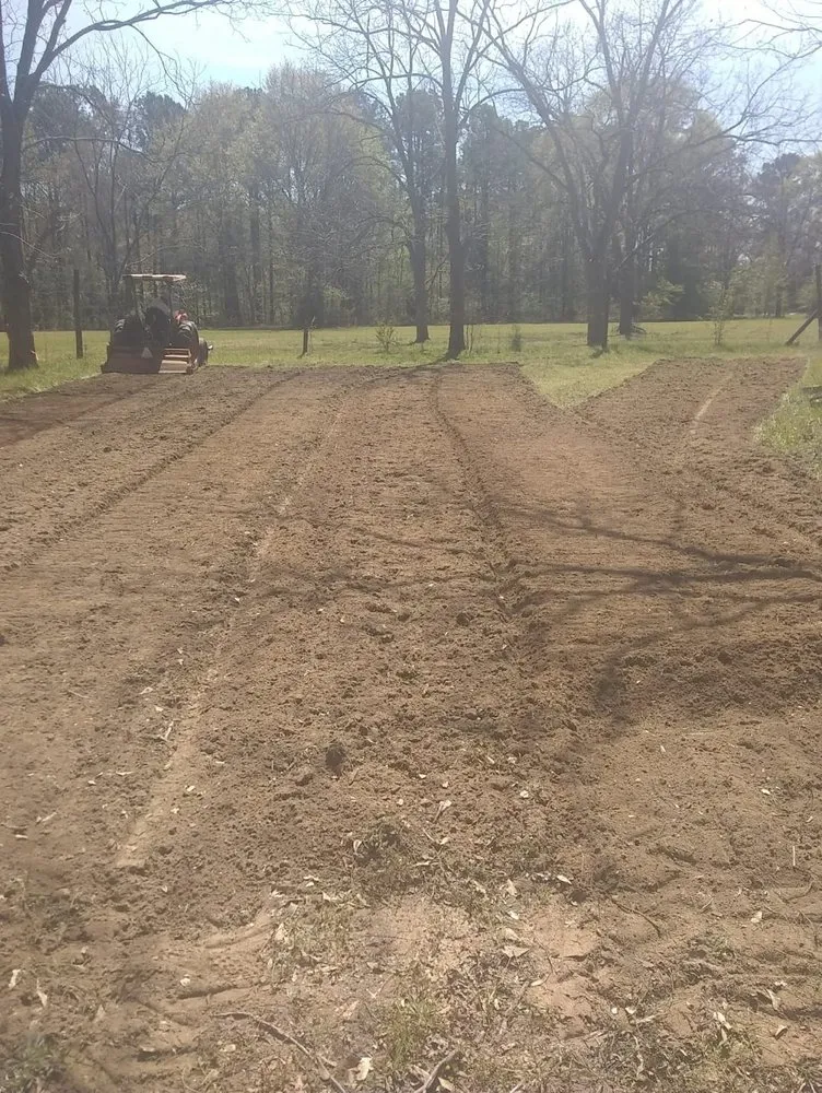 Professional yard maintenance experts serving Perry, GA - A Simple Lawn Service