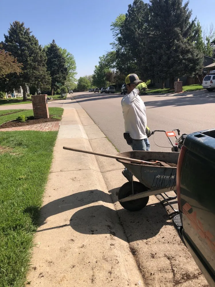 Expert landscaping services in Denver, CO by A Solutions