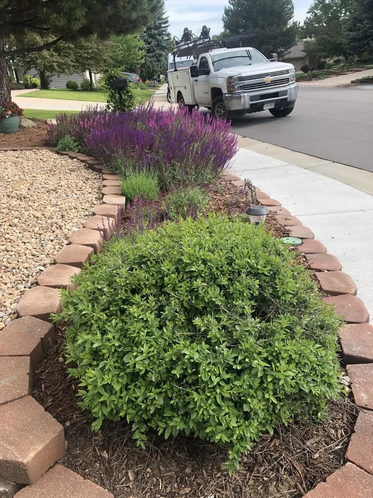 Reliable garden landscaping experts serving Denver, CO - A Solutions