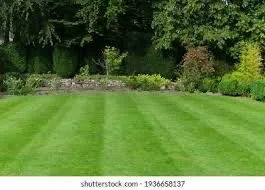 Expert landscaping services in Denver, CO by A Solutions