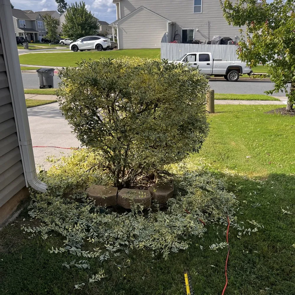 Local lawn mowing service in Kannapolis, NC - A Soriano Lawn Care Service