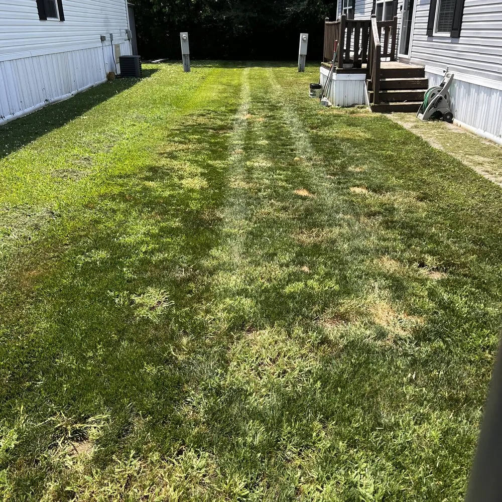 Top-rated landscaping services for beautiful yards across Kannapolis, NC - A Soriano Lawn Care Service