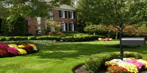 Top-rated yard cleanup service experts serving Midway, GA - A Southern Boys