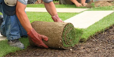 Affordable garden landscaping for beautiful yards in Midway, GA by A Southern Boys