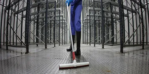 Professional yard cleanup service in Midway, GA - A Southern Boys