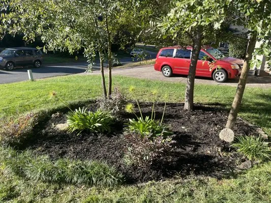 A squared landscaping and property maintenance Logo