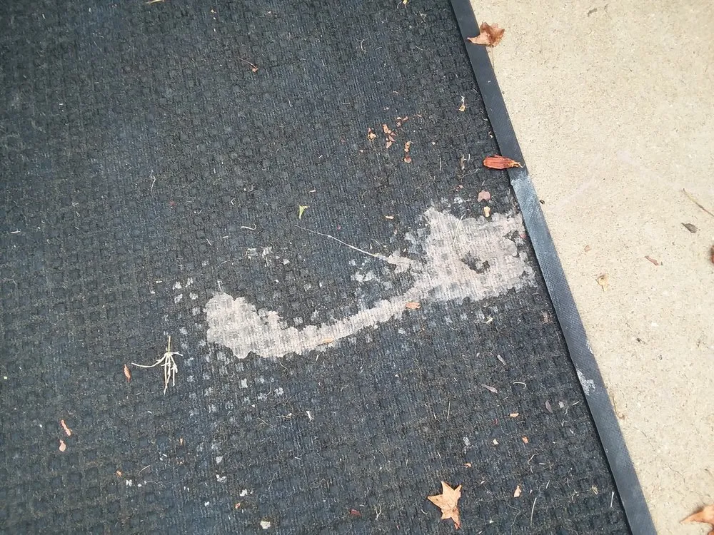 Custom residential landscaping in LaGrange, GA by A Step Above Home Improvement and Lawn Care