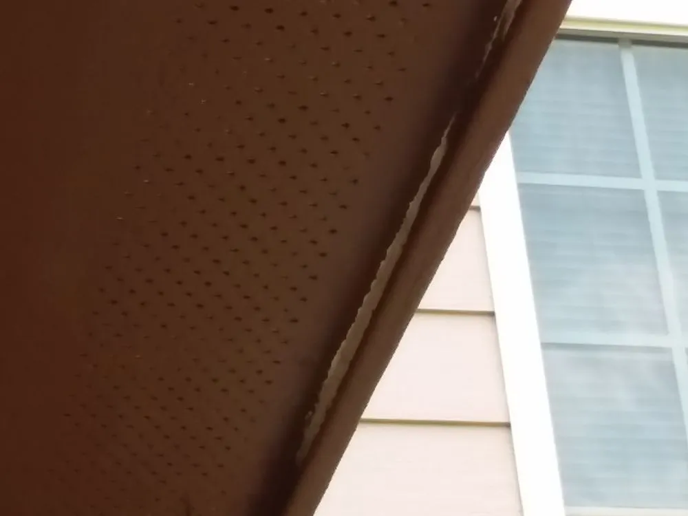 Affordable yard cleanup service in LaGrange, GA by A Step Above Home Improvement and Lawn Care