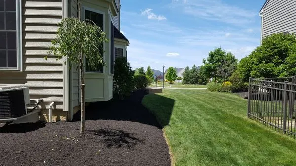 A Step Above Lawn Care