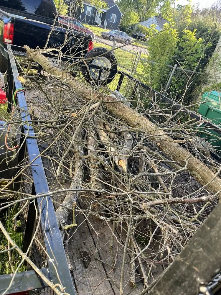 Top-rated landscape installation in Richmond, VA by A Step Above Property and Lawn Care Services