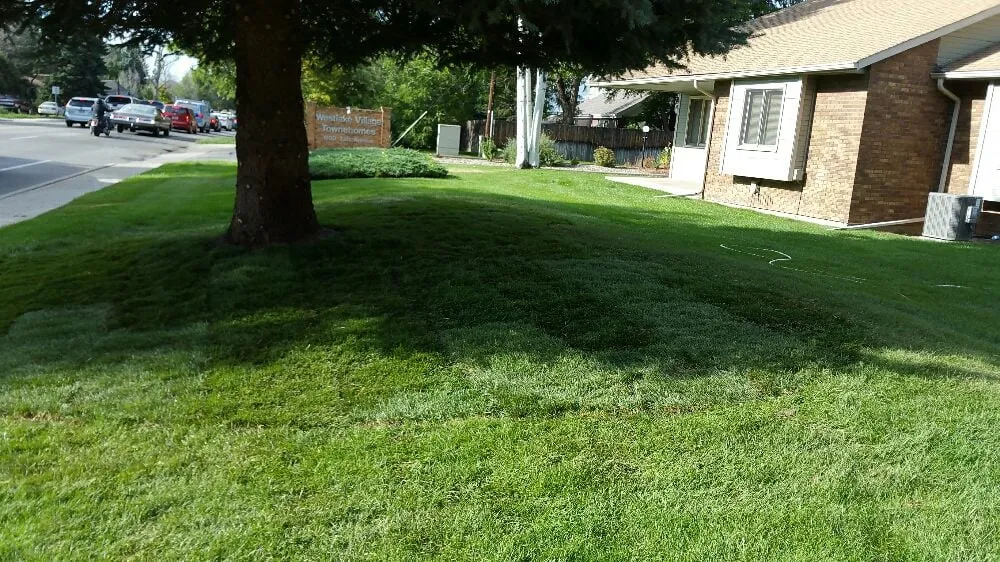 Local lawn care service for outdoor upgrades across Loveland, CO - A Step Above Property Services