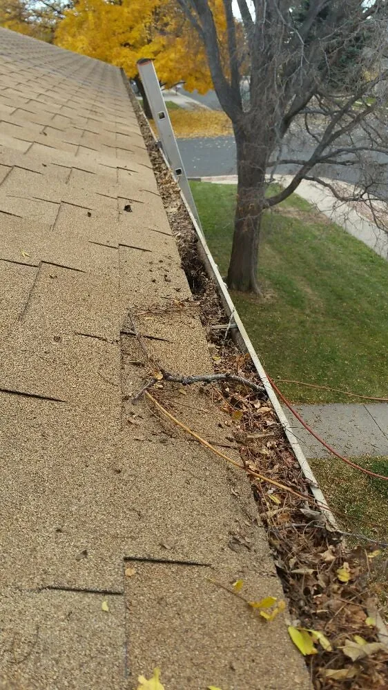 Local yard cleanup service in Loveland, CO by A Step Above Property Services