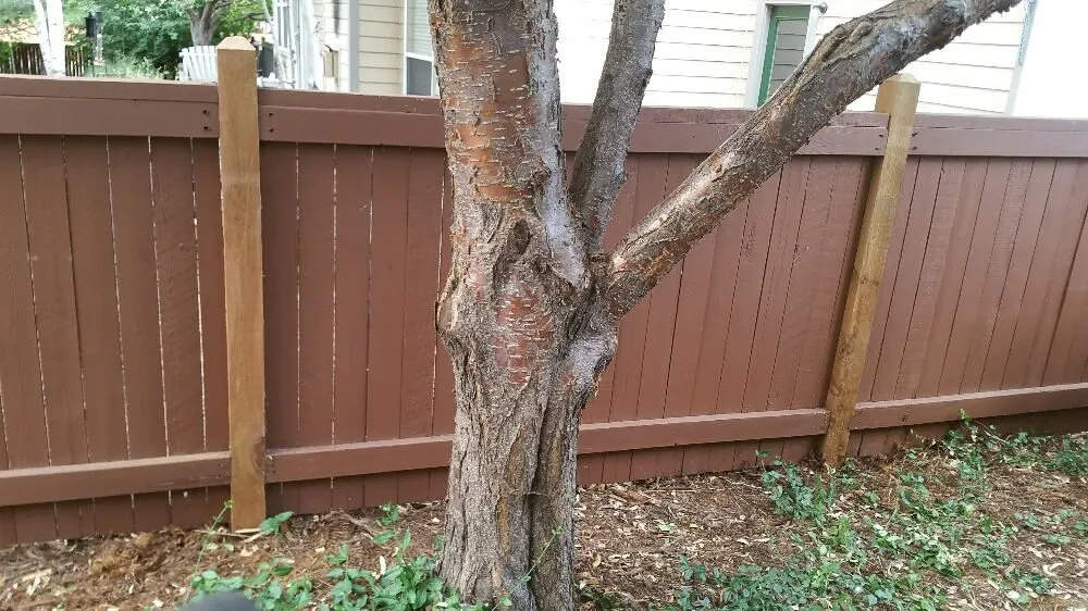 Local landscape installation in Loveland, CO - A Step Above Property Services