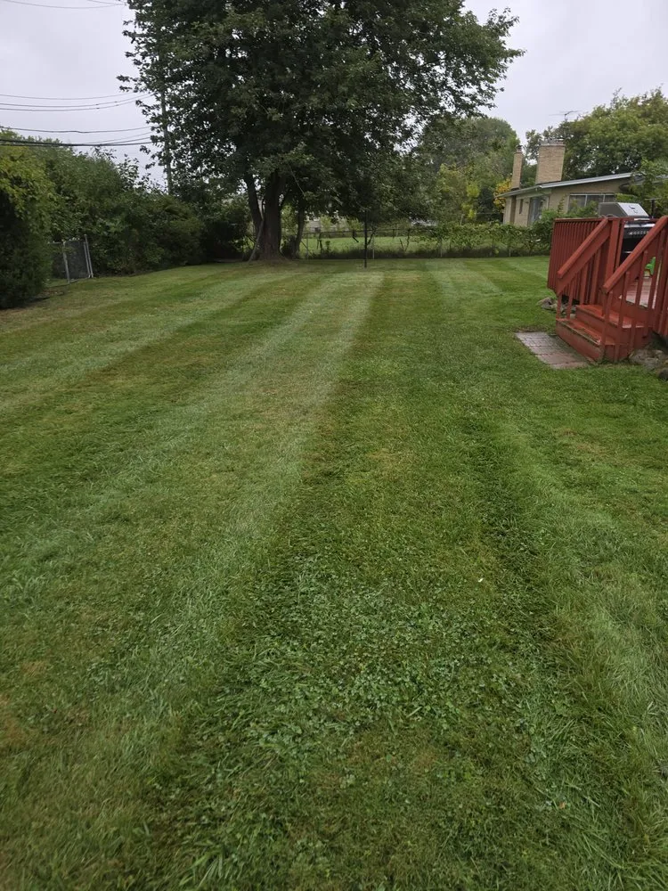Local yard cleanup service experts serving Warren, MI - A Step Above Services