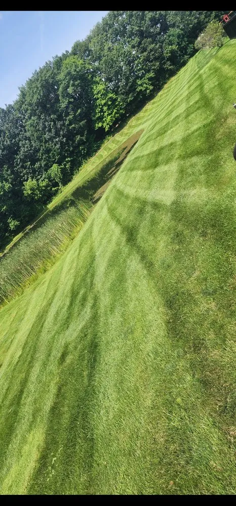 Custom lawn care service experts serving Warren, MI - A Step Above Services