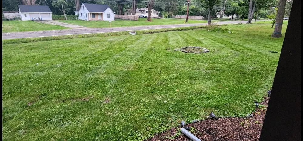 Custom yard cleanup service experts serving Warren, MI - A Step Above Services