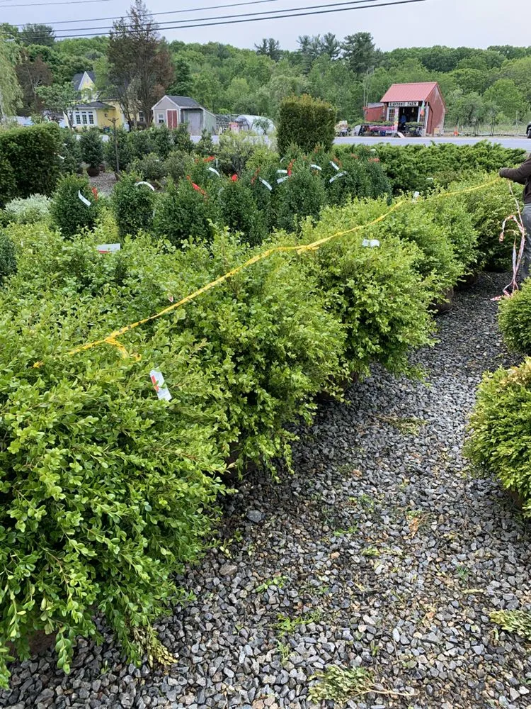 Custom landscape installation in Portsmouth, NH by A Stone’s Throw Landscaping