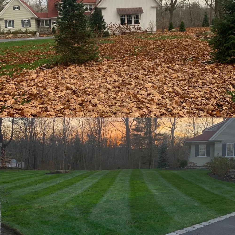Reliable yard cleanup service in Portsmouth, NH - A Stone’s Throw Landscaping