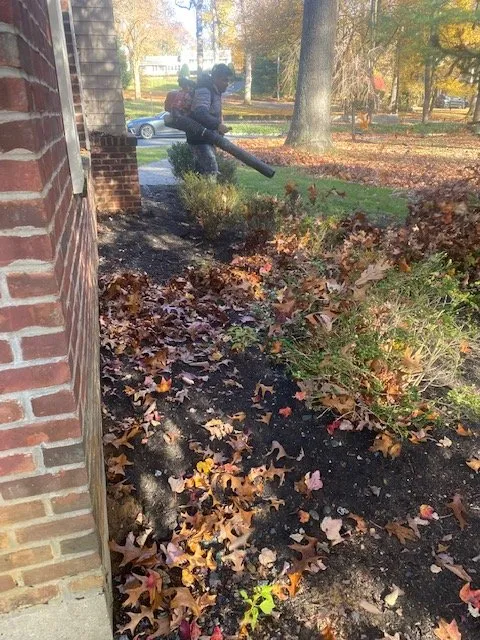 Reliable lawn care service in Red Bank, NJ by A SUMMER PLACE landscaping