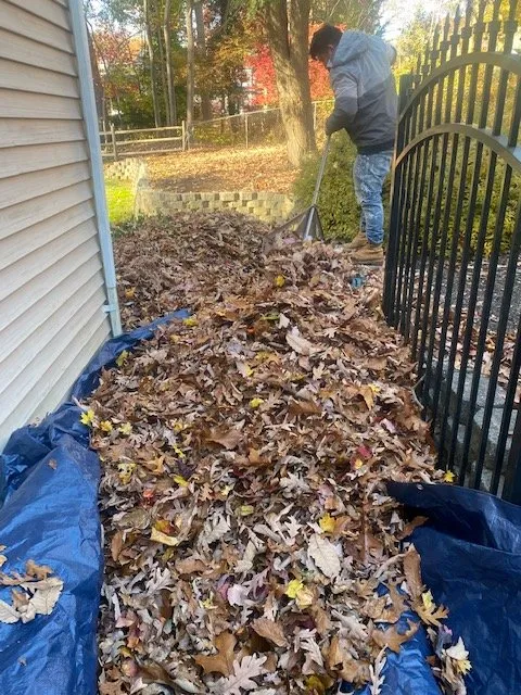 Reliable landscaping services for homes in Red Bank, NJ by A SUMMER PLACE landscaping